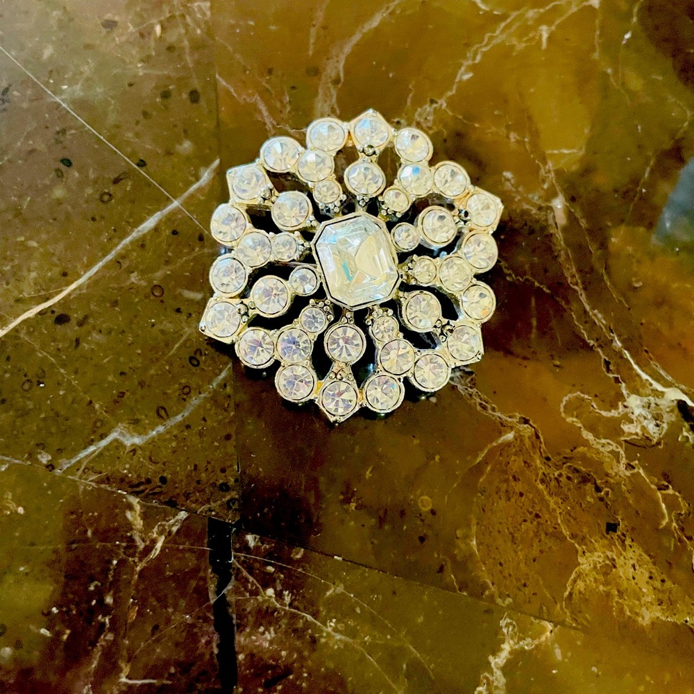 Fashion Brooch